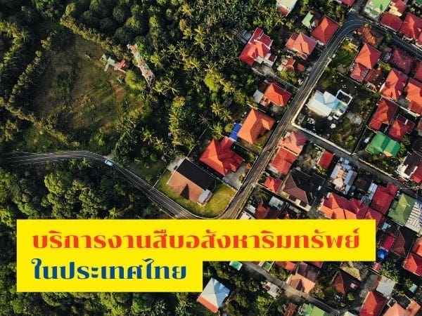 นักสืบ, นักสืบเอกชน, นักสืบอสังหา, นักสืบอสังหาริมทรัพย์, หาเจ้าของที่ดิน, หาเจ้าของบ้าน,