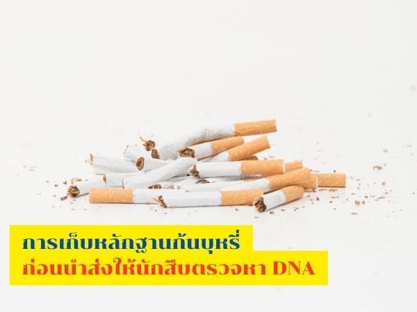 ตรวจDNA, พิสูจน์DNA, ตรวจดีเอ็นเอ, นักสืบ, พิสูจน์ดีเอ็นเอ, นักสืบเอกชน,