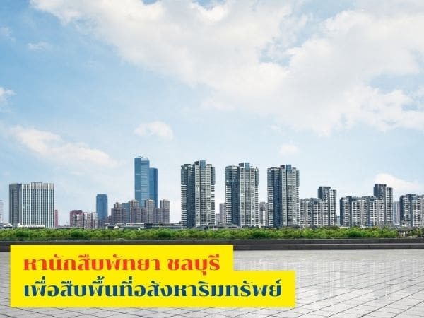 นักสืบ, นักสืบพัทยา, นักสืบชลบุรี, นักสืบเอกชน, ที่ดินพัทยา, ที่ดินชลบุรี,